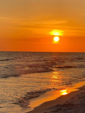 LUXURY ROSE COTTAGE ,ABOITEAU BEACH,CAP PELE